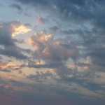 Broome17