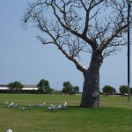 Broome24