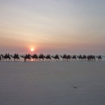 Broome26