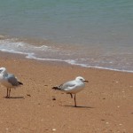 Broome35