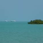 Broome37