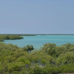 Broome38