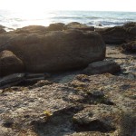 Broome46