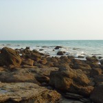 Broome47