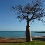 Broome58