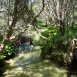 Fraser Island