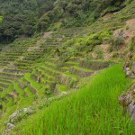 Rizières du Nord, Philippines