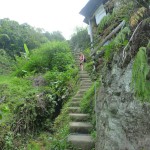 Rizières du Nord, Philippines