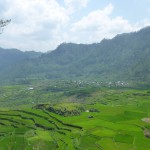 Rizières du Nord, Philippines