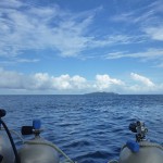 Plongées avec les requins