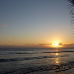 Rando Roche Verre Bouteille