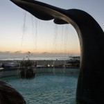 Rando Roche Verre Bouteille