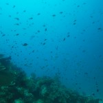 Taveuni Island, Fiji