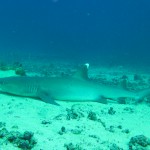 Taveuni Island, Fiji