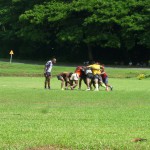 Taveuni Island, Fiji