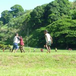 Taveuni Island, Fiji