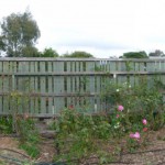 Gisborne30