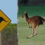 Margaret River Golf16