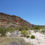 Cape Range National Park15