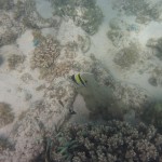 Cape Range National Park21