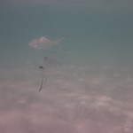 Cape Range National Park22