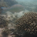 Cape Range National Park27