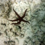 Cape Range National Park30