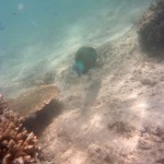 Cape Range National Park32