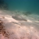 Cape Range National Park33