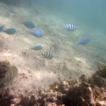 Cape Range National Park34