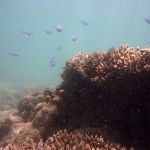 Cape Range National Park38