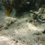 Cape Range National Park42