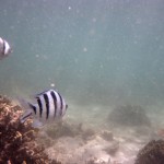 Cape Range National Park46