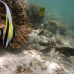 Cape Range National Park47