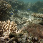 Cape Range National Park48