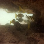 Cape Range National Park52