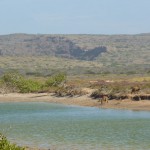 Cape Range National Park54