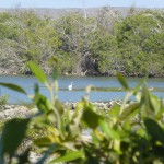 Cape Range National Park57