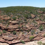 Kalbarri14
