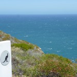 Kalbarri17