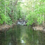 Litchfield National Park21