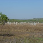 Litchfield National Park27