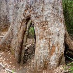 Road Trip Sud Part 1 - 13