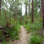 Road Trip Sud Part 1 - 14