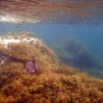 Road Trip Sud Part 1 - 23