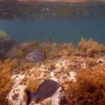 Road Trip Sud Part 1 - 24