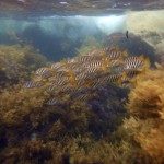 Road Trip Sud Part 1 - 25