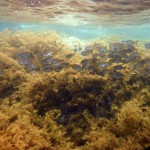 Road Trip Sud Part 1 - 26