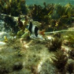 Road Trip Sud Part 1 - 41