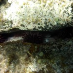 Road Trip Sud Part 1 - 43